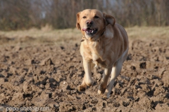 Garry_2007-02-04_01-21-09