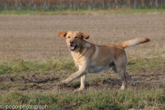 Garry_2007-02-04_01-27-45_02