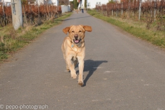 Garry_2007-02-04_01-44-04