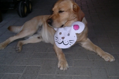 Garry_2008-05-13_09-02-30