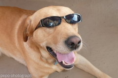 Garry_Sonnenbrille_resize_resize